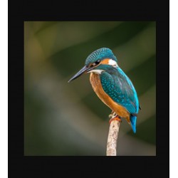 ورق طابعة ملونة للصور عالي الجودة ساتن جلوسي نص لمعة 180 جرام 20 ورقة CANSON